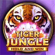 Mục đích sử dụng dữ liệu tại iwin nổ hũ